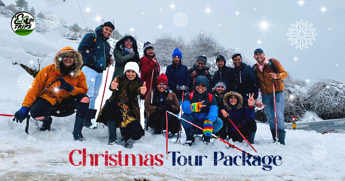 Christmas trip packages
